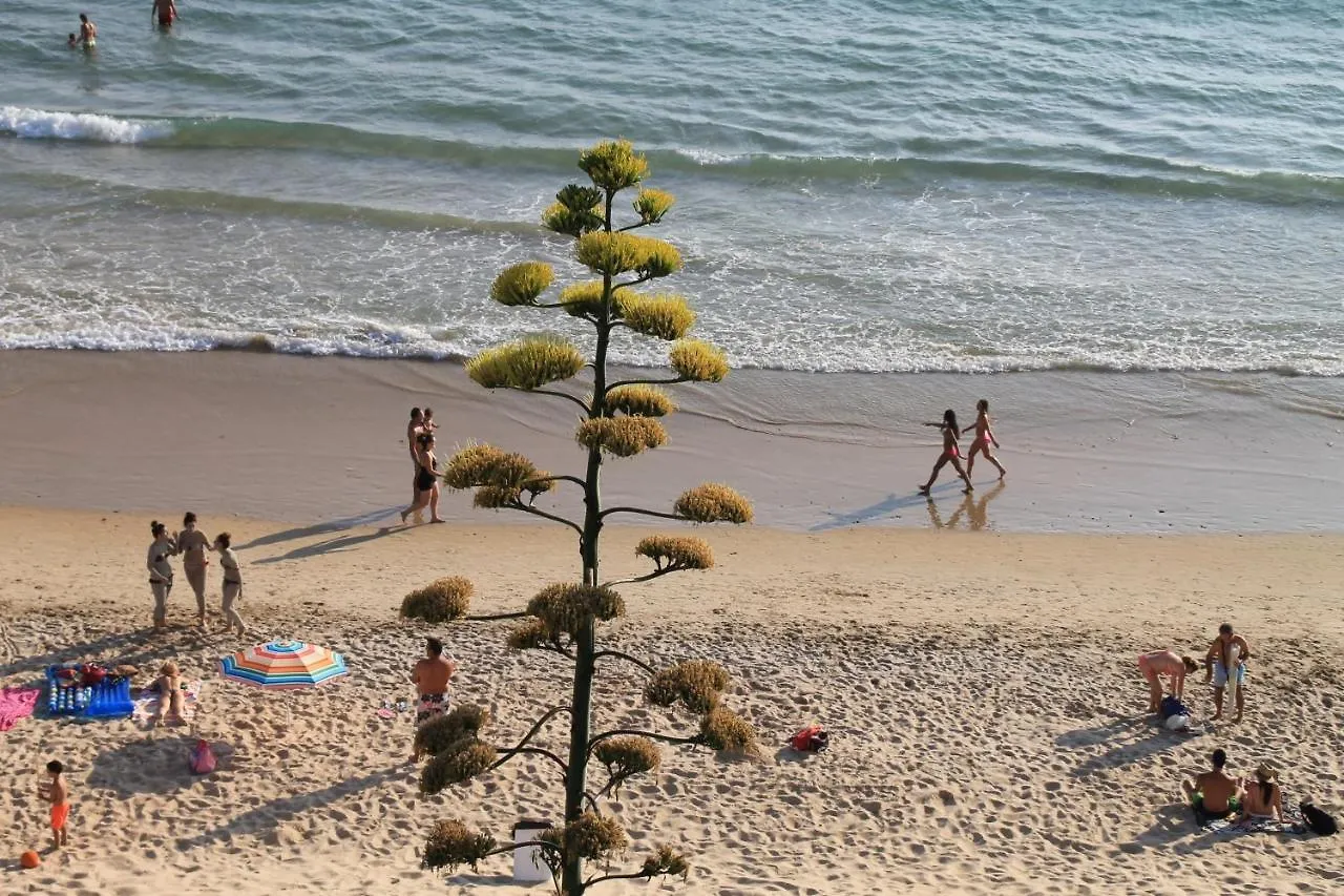 Apartamento central planta baja Conil De La Frontera 0*,  España